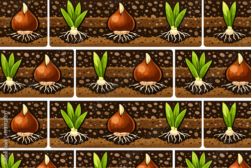 Planting seeds in soil with sprouts showing roots in a garden setting