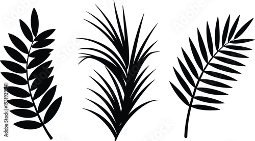 Minimalist black tropical and botanical leaf silhouettes set, modern foliage illustrations isolated on white background, Scandinavian style clipart elements for logo, branding and wall art