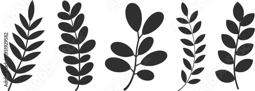 Modern minimalist black botanical leaf silhouettes bundle, Scandinavian style floral branch illustrations isolated on white background for logo design, branding, printable wall art and decor
