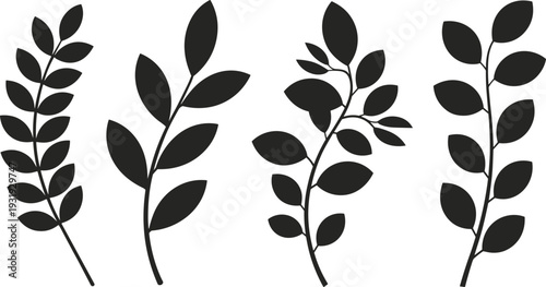 Modern minimalist black botanical leaf silhouettes set, elegant floral branch illustrations isolated on white background, Scandinavian style foliage clipart for logo, branding and wall art