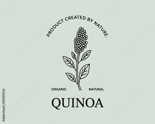 Organic Quinoa Plant Logo Badge – Natural Product Botanical Line Art Illustration
