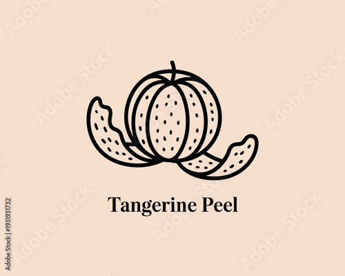 Tangerine Peel Citrus Fruit Hand Drawn Minimal Line Art Illustration