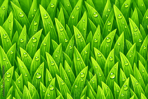 Lush green grass with water droplets shining under sunlight in a close up view captured during a sunny afternoon