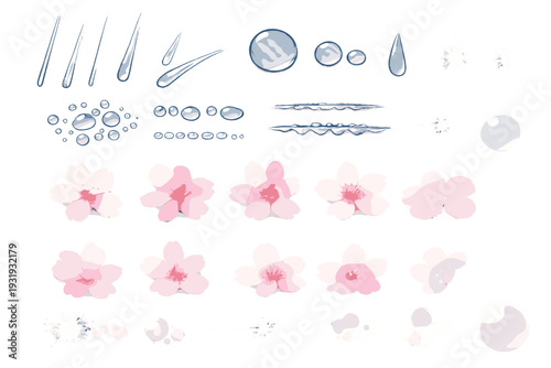 Different types of water droplets and cherry blossoms arranged in a simple layout for design use and creative projects