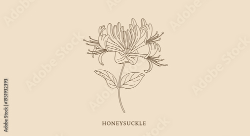 Botanical Organic Nature Logo Badge with Hand Line Art Illustration on Beige Background