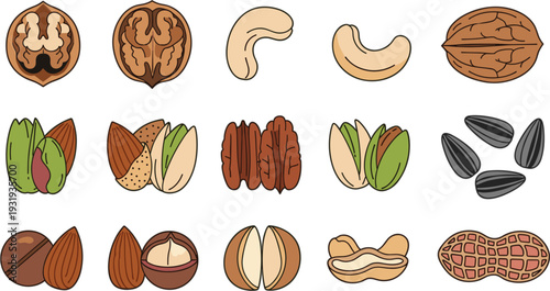 Mixed Nuts Collection with Walnut Almond Pistachio Peanut and Sunflower Seeds Flat Vector Illustration