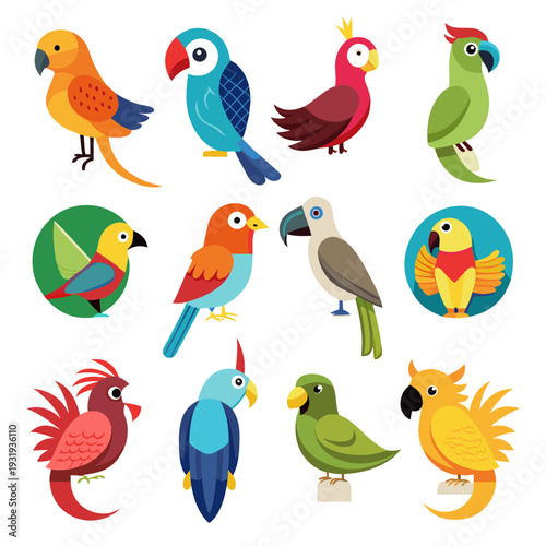 Vector illustration of various colorful cartoon parrot species