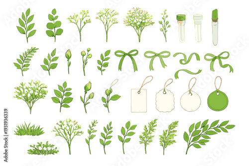 Collection of various green plants and decorative elements for craft and design use