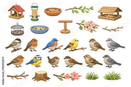 Birds feeding in a backyard with feeders and bowls set up among branches and flowers during a sunny day