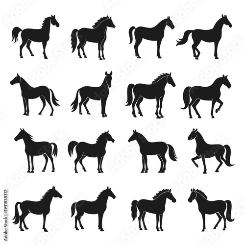 Horse silhouette collection vector illustration, design element