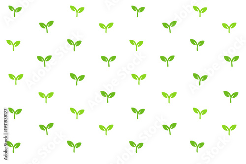 Small green plants growing on a white background in a pattern during daylight hours