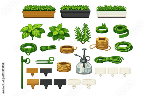Gardening tools and plants displayed on a flat surface for use in home gardening activities