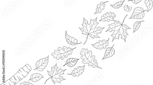 A flock of butterflies and leaves in a whimsical line drawing