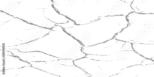 Abstract gray cracked texture on white background, minimalist distressed stone wall pattern, grunge vector overlay