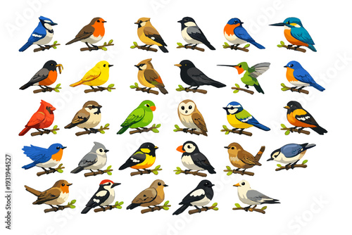 Colorful birds on branches in different poses or actions, showcasing their diverse species and unique features in nature