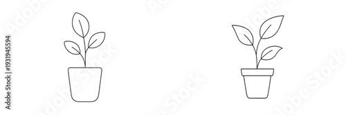 Potted plants with green leaves in simple, stylish ceramic pots on a white background