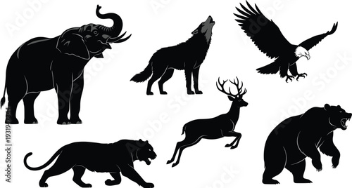 Wild animal silhouette collection featuring elephant, wolf, eagle, deer, bear and panther in detailed black wildlife style, flat vector illustration