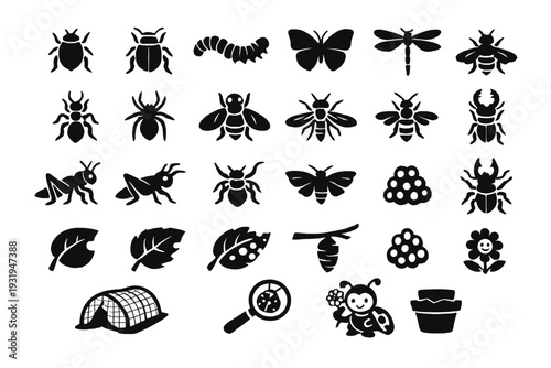 Collection of various insect and plant silhouettes including beetles, butterflies, and leaves in black on a white background
