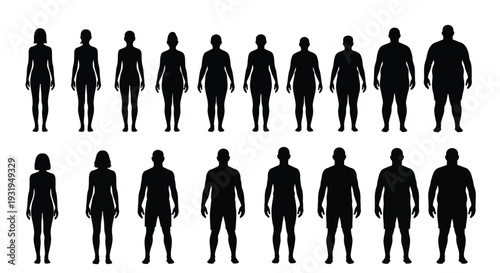 Vector graphic illustration displaying male and female body shape silhouettes indicating weight loss progression scale