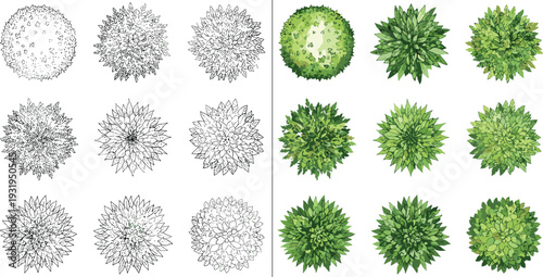 Top view green bush and shrub set with outline and colored versions landscape design elements isolated on white background vector illustration collection