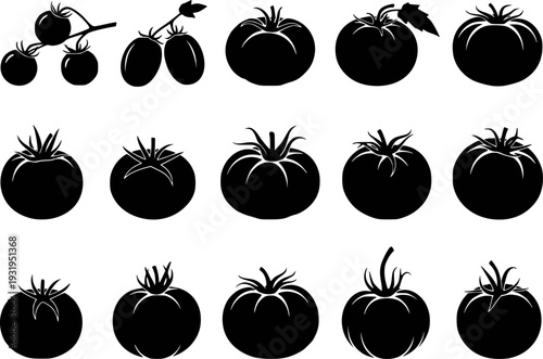 Collection of Black Silhouette Tomato and Sprigs White Background