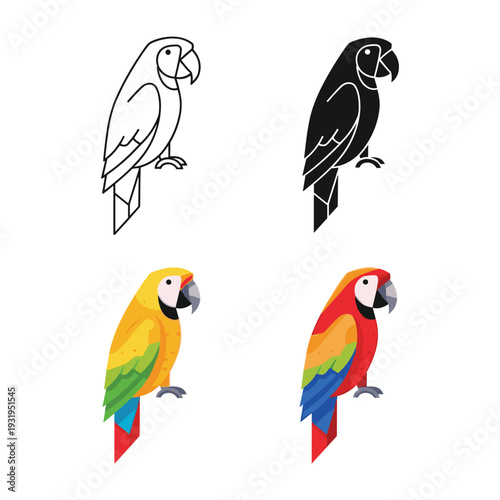 Four stylized illustrations of different parrot species standing on perches