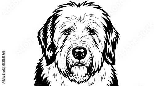 Old English Sheepdog Portrait Black and White Line Art Drawing