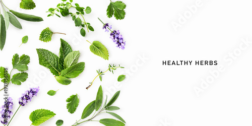 Photography Banner with mint, sage, coriander, melissa and lavender
