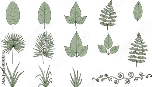 Green botanical leaf collection, hand drawn foliage and fern plant vector illustration set isolated on white background