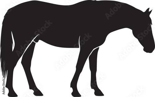A clean black silhouette of a horse in a standing profile view. This minimalist animal graphic is ideal for equestrian logos, farm-themed designs, and nature illustrations.