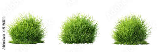 Set of Vibrant green ball grass Minimalistic on transparent png background. Ai generated