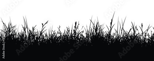 Dense wild grass and reeds silhouette panoramic field landscape vector