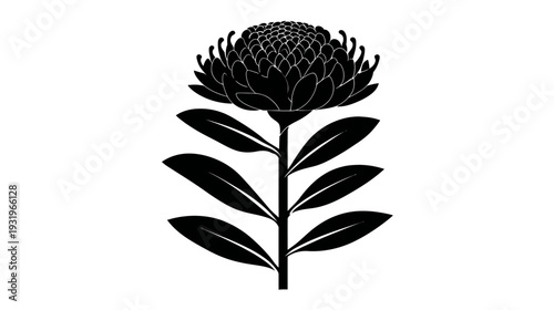 Silhouetted illustration of a flower with large, round head, leaves on stem. Bold, solid black art