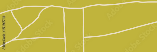 Agriculture pattern rice field with plantation top and vineyard view farm.