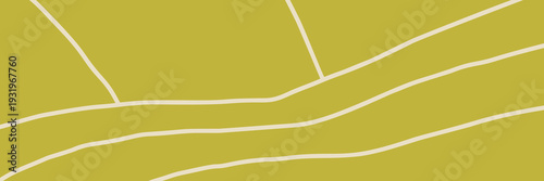 Field plantation rice with vineyard farm view and top agriculture pattern.