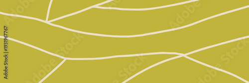 Field farm vineyard and rice agriculture top with pattern plantation view.