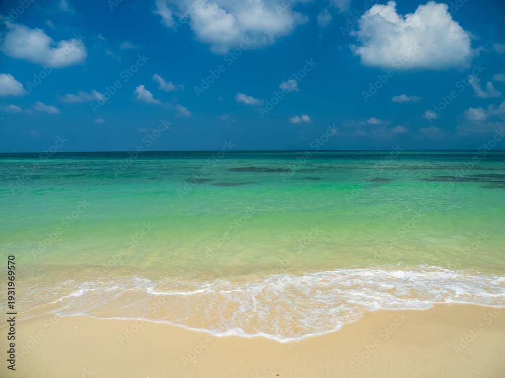 Obraz premium Peaceful panorama tropical sea beach with gentle waves rolling onto golden sand under bright blue sky with fluffy white clouds. relaxing summer scene perfect scene for travel holliday and nature lover