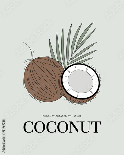 Coconut Organic Product Logo – Tropical Botanical Line Art Illustration