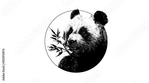 A black and white illustration of a panda's head and a bamboo branch in a circular border