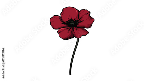 Digitally created illustration showcasing a red flower with dark center and green stem against a white backdrop