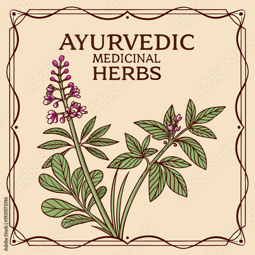 Ayurvedic Herbs Illustration Set