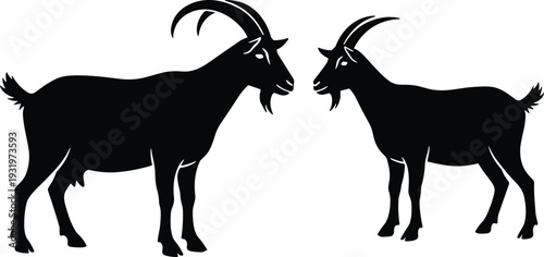 Black silhouette of two horned goats standing and facing each other isolated on white background for farm animal and livestock design,