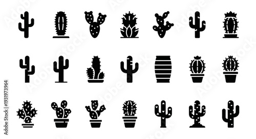 Collection of diverse cactus and succulent plants in various pots displayed in a grid pattern against a clean background