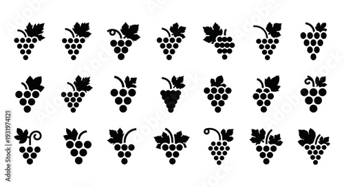 Collection of various black grape illustrations on a clean white background viewed from directly above