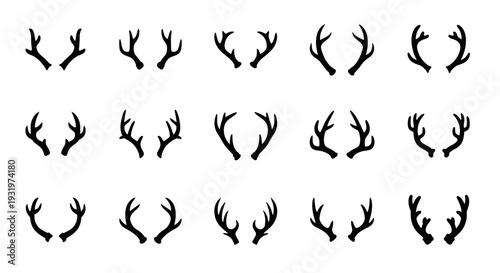 Collection of various deer antlers arranged in a grid pattern on a white background from a direct viewpoint