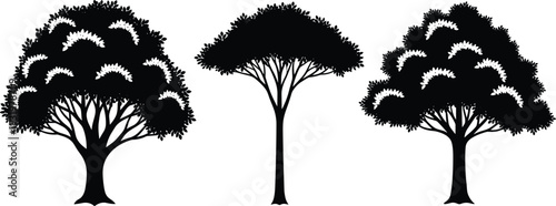 Tree silhouette illustration collection with diverse canopy shapes, branching patterns, natural landscape element concept, botany design, flat vector graphic