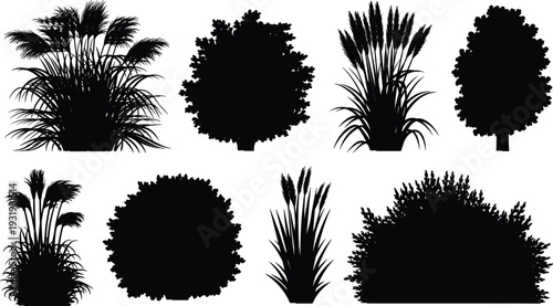 Black Silhouette Set of Dense Garden Bushes Ornamental Shrubs and Decorative Grasses Isolated on White for Landscape Scene Design