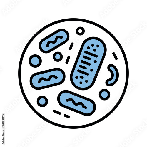 A simple illustration of a cell with various organelles and structures.
