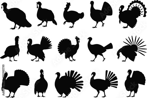 Black turkey silhouette set, poultry bird icons, thanksgiving holiday graphics, farm animal vector collection, turkey poses, wild bird minimalist design elements.