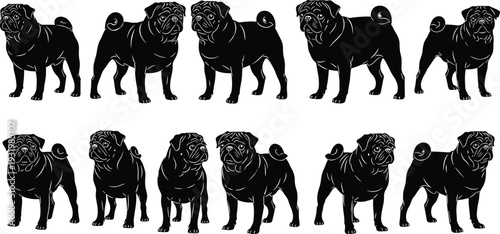 Pug dog silhouette collection set, standing domestic pet in different poses isolated on white background vector illustration